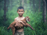 En gutt med et lam - fra Indonesia - Opphav: Fotografi (sasint) - pixabay.com (Creative Commons)